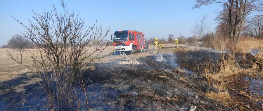 Pożar suchej trawy na łąkach