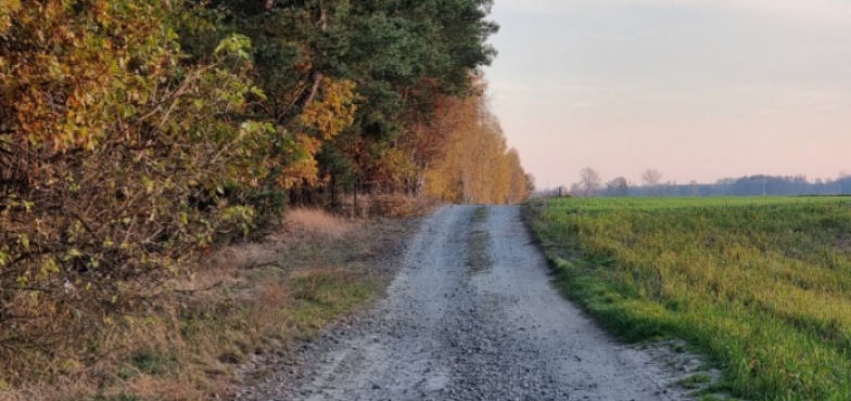 Będzie nowa droga w Tokarkach i Dobrosołowie. Umowa podpisana 