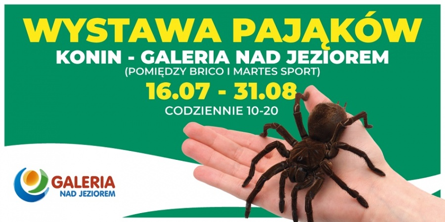 Egzotyczne pająki i skorpiony – niecodzienna wystawa  w Galerii nad Jeziorem
