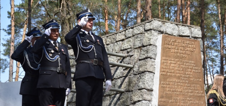 Złożyli hołd polskiej fladze. Obchody przy pomniku w Białej Panieńskiej