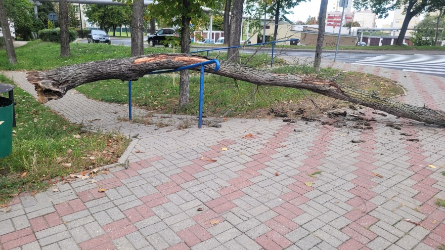 Wzywani na pomoc 35 razy. Tydzień u strażaków