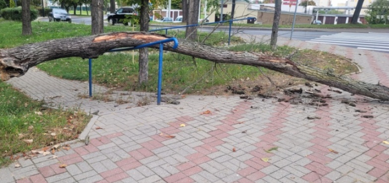 Wzywani na pomoc 35 razy. Tydzień u strażaków