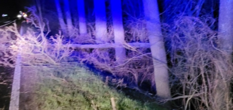 Strażacy usuwali drzewa i konary powalone na drogi. W nocy 12 interwencji