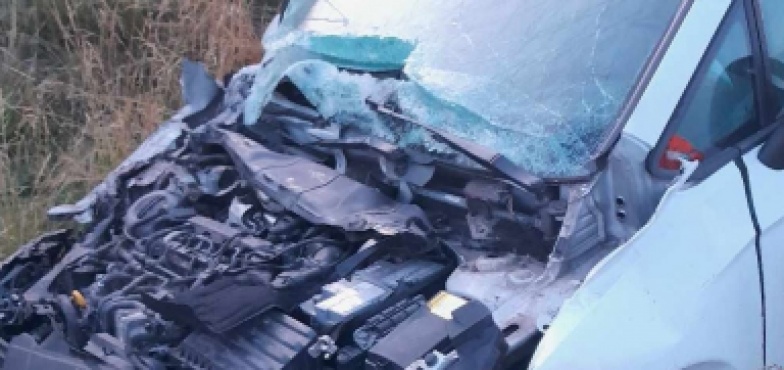 Wypadek na autostradzie A2. Uderzył w tył busa