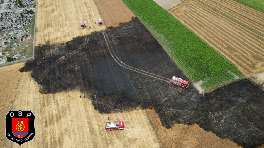 Pożar ścierniska. Na miejscu wiele zastępów straży pożarnej