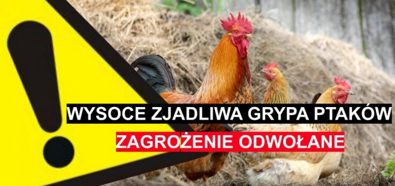 Zbiornik Jeziorsko wolny od ptasiej grypy