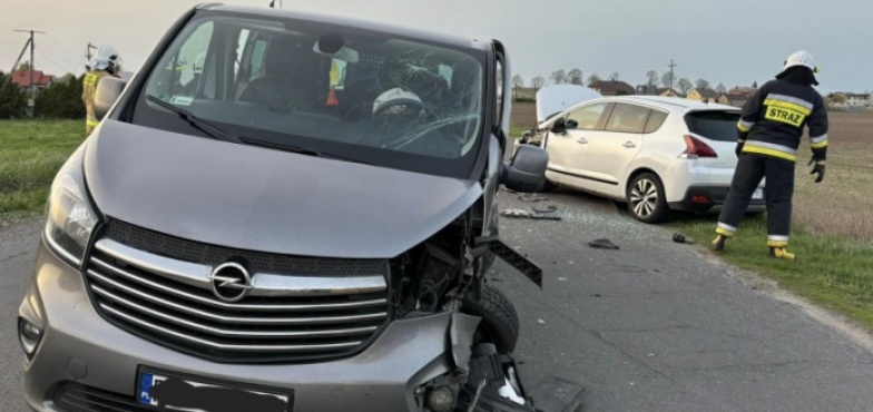 19-letni kierowca i 71-letnia pasażerka w szpitalu. Zderzenie w Nieborzynie