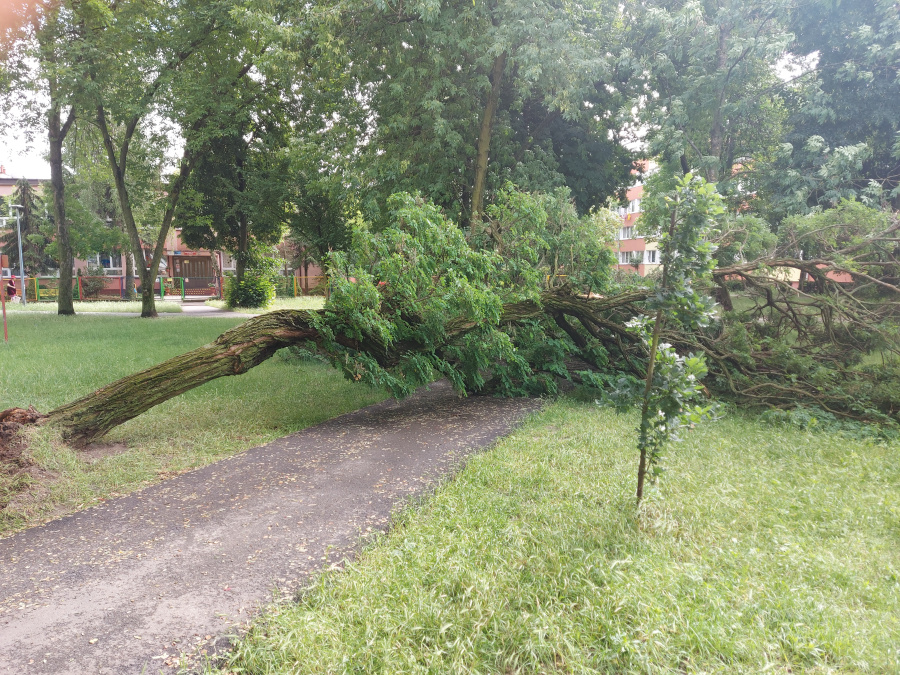 Kapryśna pogoda „narobiła” sporo zamieszania. 700 strażaków w akcji