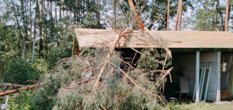To był niespokojny tydzień