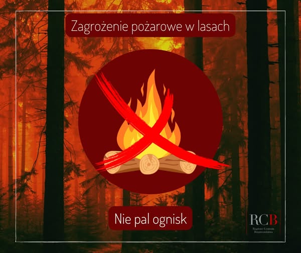 Upały zwiększają ryzyko pożarów w lasach