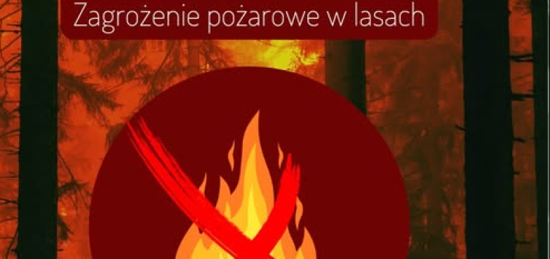 Upały zwiększają ryzyko pożarów w lasach