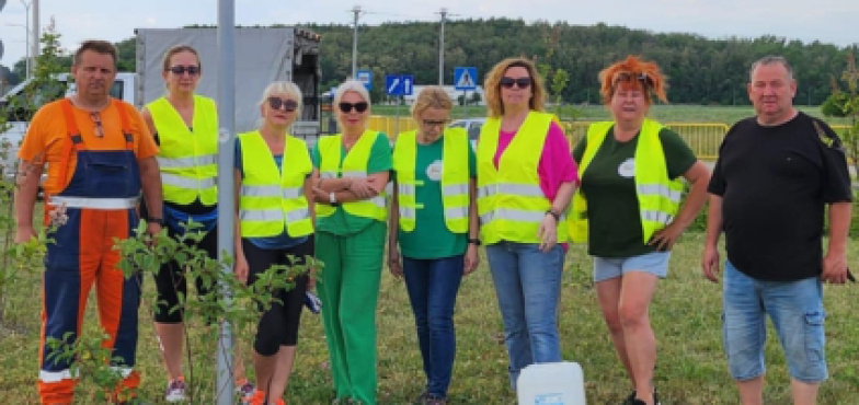 Hortensje na rondzie. Konińska Rada Kobiet dba o to miejsce! 
