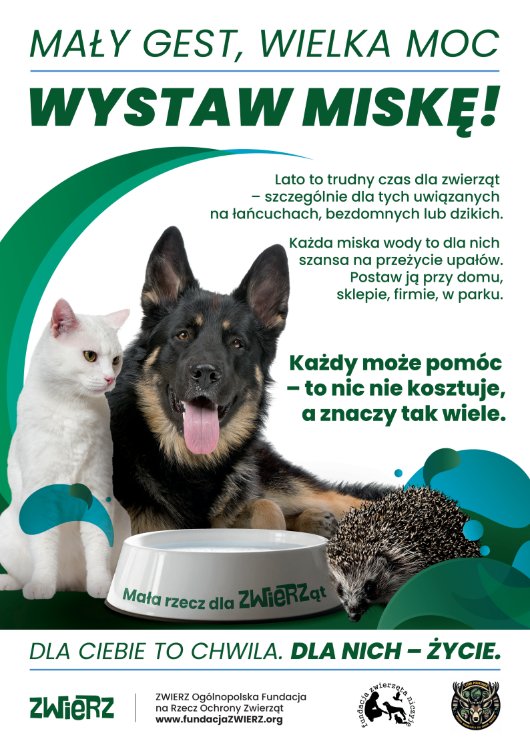 Wystaw miskę! Gmina w kampanii