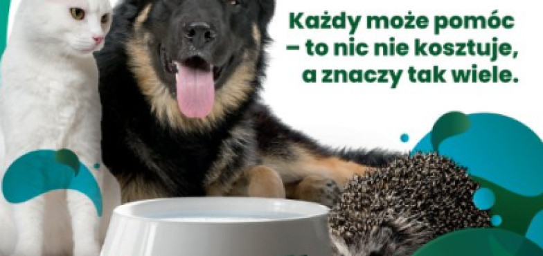 Wystaw miskę! Gmina w kampanii