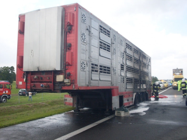 Padło kilkadziesiąt świń. Pożar na autostradzie A2
