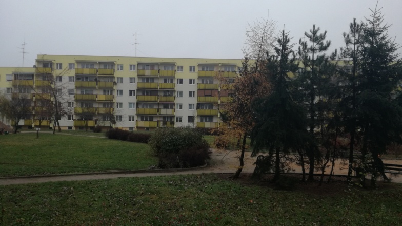 Uczniowie zaprojektują tereny zielone. Spółdzielnia daje na wykonanie 100 tysięcy złotych 