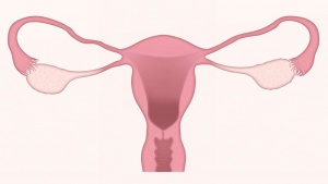 Co oznacza dla kobiet menopauza? 