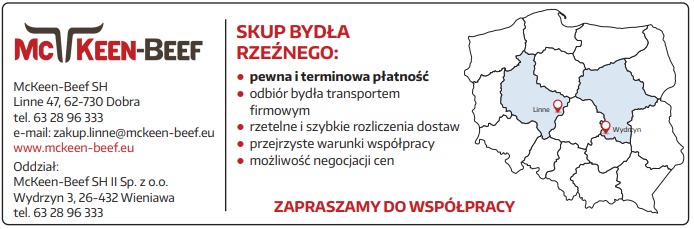 Skup Bydła Rzeźnego