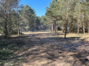 Działka 8-arowa - Kolonia Lipiny