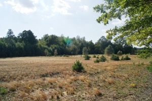 Działka budowlana Kowalewek