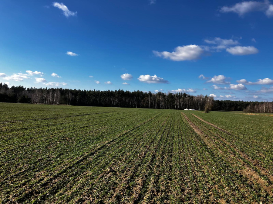 Sprzedam  działkę  rolno-budowlaną
