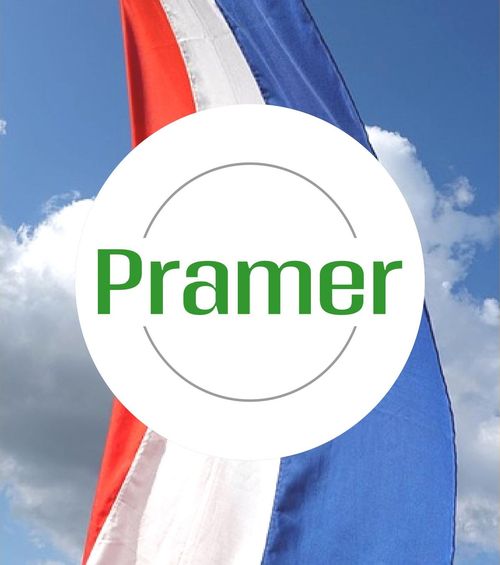 Praca w Holandii - różne oferty (wybierz coś dla siebie)