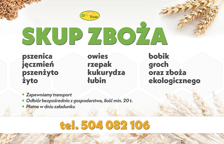 skup zboża pszenicy, jęczmienia, owsa, żyta , inne