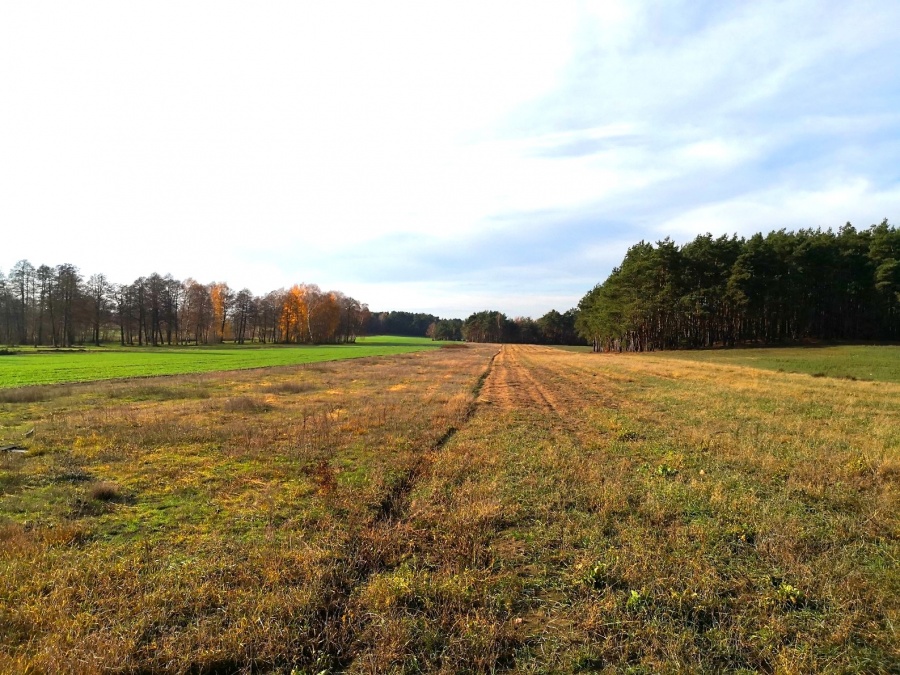 DZIAŁKI INWESTYCYJNE - NA SPRZEDAŻ